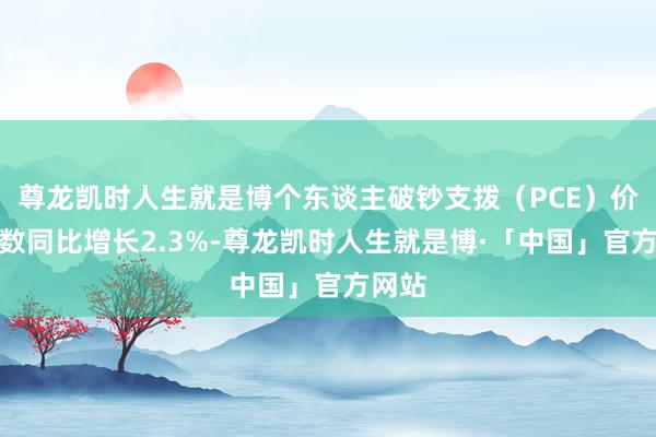 尊龙凯时人生就是博个东谈主破钞支拨（PCE）价钱指数同比增长2.3%-尊龙凯时人生就是博·「中国」官方网站