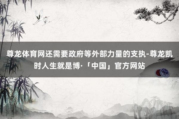 尊龙体育网还需要政府等外部力量的支执-尊龙凯时人生就是博·「中国」官方网站