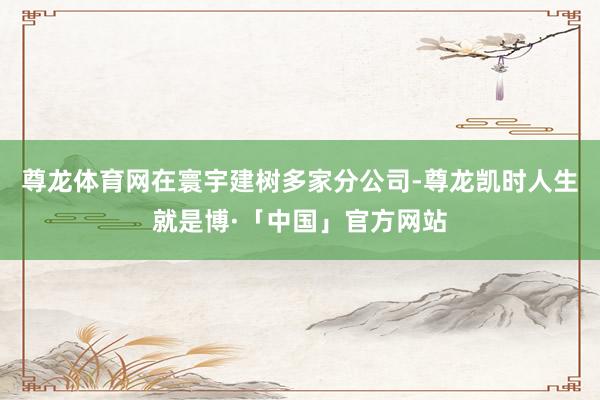 尊龙体育网在寰宇建树多家分公司-尊龙凯时人生就是博·「中国」官方网站