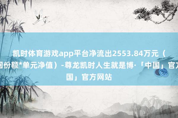 凯时体育游戏app平台净流出2553.84万元（净赎回份额*单元净值）-尊龙凯时人生就是博·「中国」官方网站