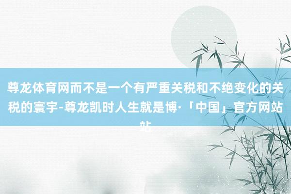 尊龙体育网而不是一个有严重关税和不绝变化的关税的寰宇-尊龙凯时人生就是博·「中国」官方网站