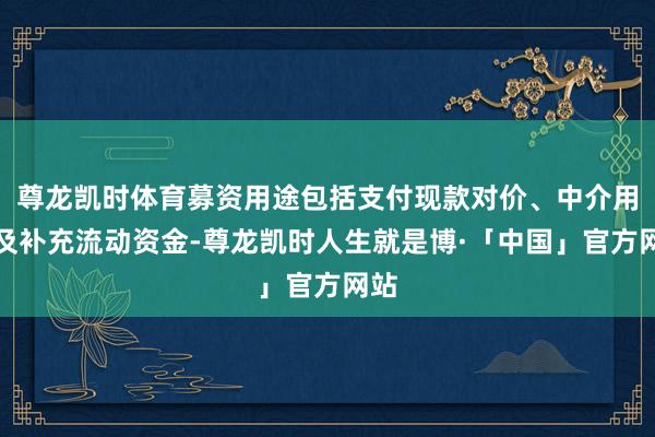 尊龙凯时体育募资用途包括支付现款对价、中介用度及补充流动资金-尊龙凯时人生就是博·「中国」官方网站