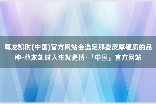 尊龙凯时(中国)官方网站会选定那些皮厚硬质的品种-尊龙凯时人生就是博·「中国」官方网站