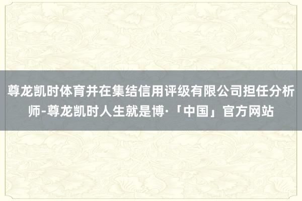 尊龙凯时体育并在集结信用评级有限公司担任分析师-尊龙凯时人生就是博·「中国」官方网站