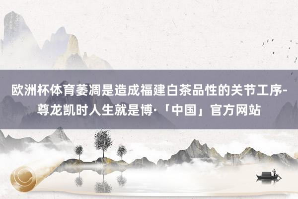 欧洲杯体育萎凋是造成福建白茶品性的关节工序-尊龙凯时人生就是博·「中国」官方网站